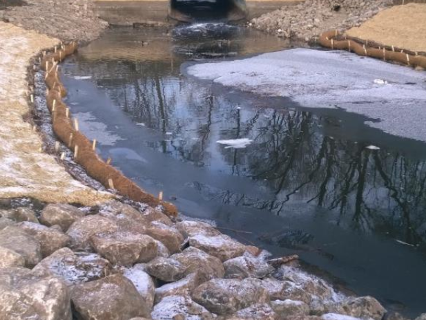 Bassett Creek Restoration 1